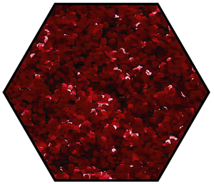 Red Delicious Medium Cut Ecoglitter